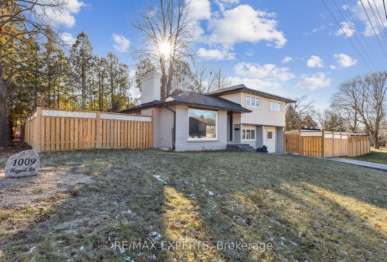 E11924754