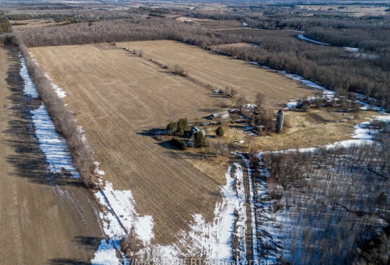 S12038811