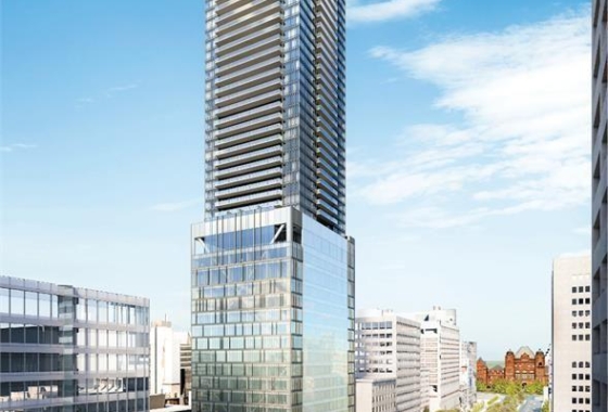 C12273147