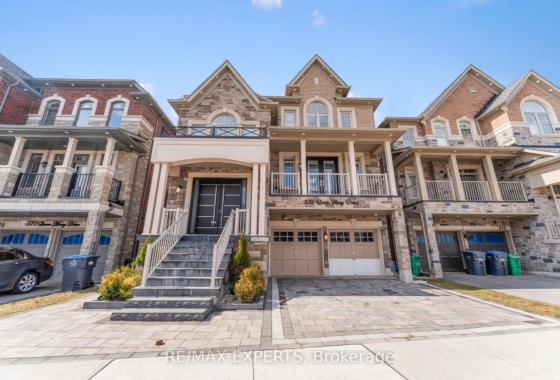 W13003486