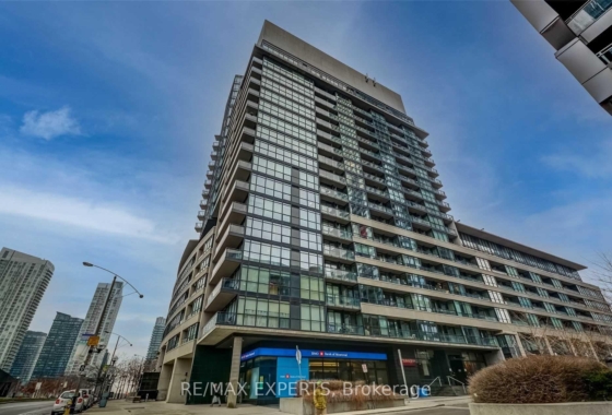 C13114408