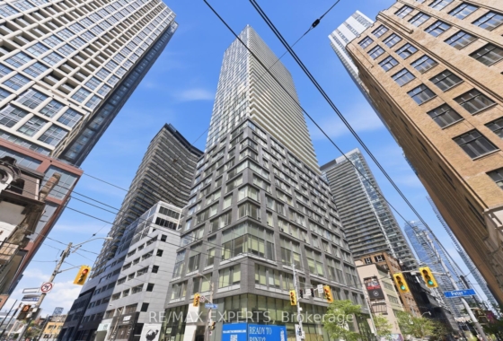C13166406